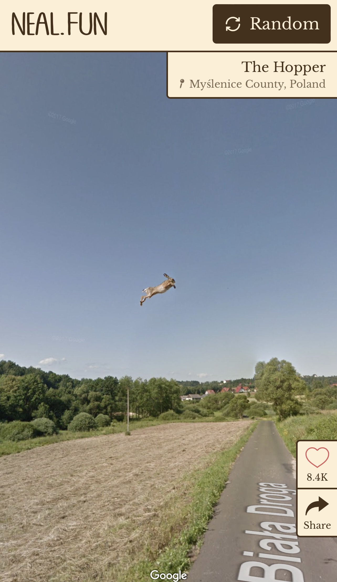 Best of Google Street View  Schnappschüsse
